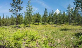 Nna Log Cabin Rd, Bonners Ferry, ID 83805