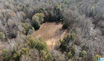 BRUSH CREEK DRIVE lot 0, Akron, AL 35441
