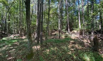 63 Hickory Crk, Acworth, GA 30101