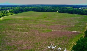 0 N County Rd. 75, Ashford, AL 36312
