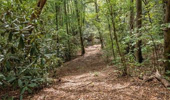 1034 Chestnut Flats Rd, Andrews, NC 28901