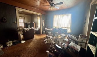 452 E Washington St, Arcola, IL 61910