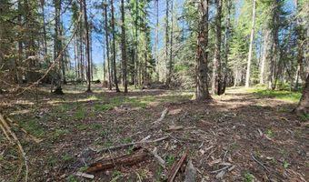 1365 MT Highway 209, Bigfork, MT 59911
