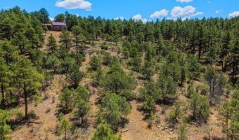 23251 Elk Trl, Aguilar, CO 81020