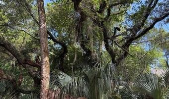 207 Muscadine Wynd, Bald Head Island, NC 28461