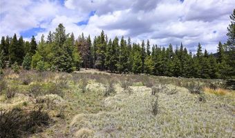 PCS # 10594 Looney Lane lot 0, Alma, CO 80420