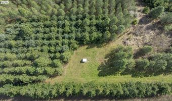 Three Trees Ln, Amity, OR 97101