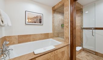415 E Dean St # 47 Weeks 51/52, Aspen, CO 81611