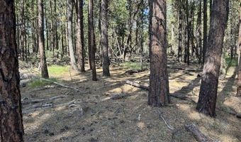 Thunder Bear Road, Bonanza, OR 97623