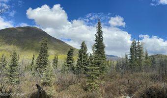 B005 Packsaddle Road, Chickaloon, AK 99674