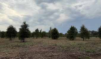 Hwy. 13, Beebe, AR 72102