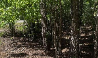 23 Andorra Cir, Hot Springs Village, AR 71909