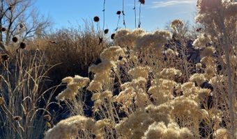 BEAN CREEK Road, Abiquiu, NM 87510