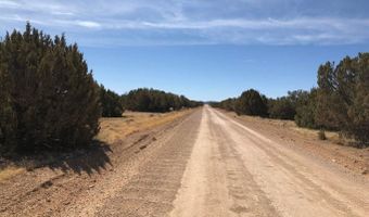 122 Spruce St, Concho, AZ 85924