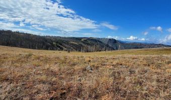 00 Cuddy Mountain Mineral Land, Cambridge, ID 83610