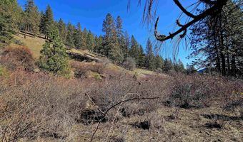 618 Quail Dr, Ahsahka, ID 83520