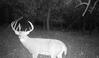296 Th, Arkansas City, KS 67005