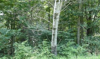 Farm Loop Road lot 17, Banner Elk, NC 28604