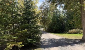 9415 Wreck Rd, Alpena, MI 49707
