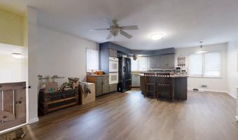 229 E Jefferson St, Arcola, IL 61910