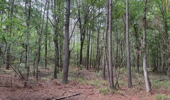 Carbon Plant Road, Bastrop, LA 71220