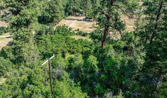 554 Pine Spring Dr, Bayfield, CO 81122