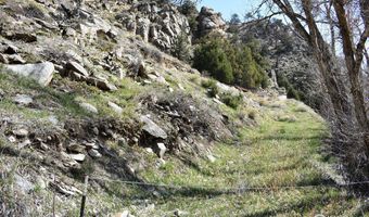 32370 Poudre Canyon Rd, Bellvue, CO 80512