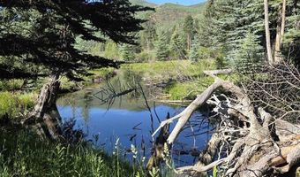201 Golden Forest Rd, Bayfield, CO 81122