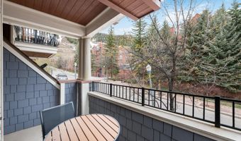 415 E Dean St Unit 11 Week 5, Aspen, CO 81611