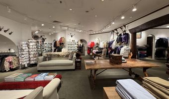 419 E Cooper Ave, Aspen, CO 81611