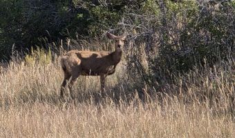 7187 CR 228, Bayfield, CO 81122