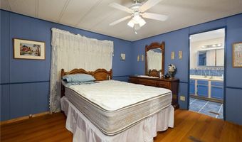 411 Palmetto Palm St, Alamo, TX 78516