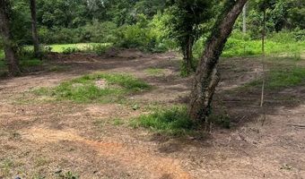 739 Hwy 9W Home In Paris In Lafayette County, Bruce, MS 38915