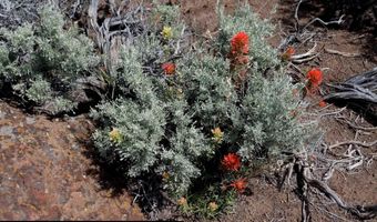 unspecified, Gerlach, NV 89412