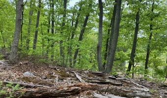 NEW MOUNTAIN Road, Aldie, VA 20105