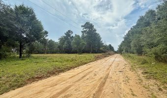 McPherson Drive, Alford, FL 32420