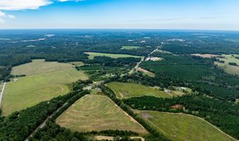 20 Ac State Hwy 95 Columbia Rd, Abbeville, AL 36310