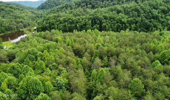 Steve Brown Road, Bean Station, TN 37708