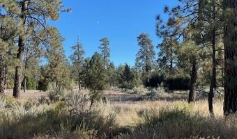 Lot 18 Pyramid Peak Road, Mountain Center, CA 92561