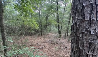 20 Ac Keyser Mill Rd, Baker, FL 32531