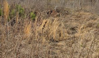 85 6+/- Acres County Road 2291, Booneville, MS 38829