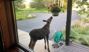300 W TETON HIDEAWAY Dr, Alta, WY 83414