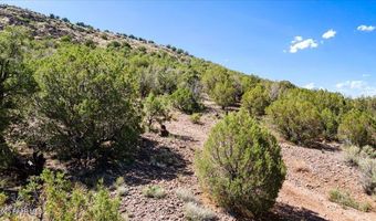 0 W Flycatcher Ln, Chino Valley, AZ 86323