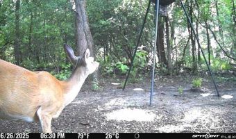 Tbd I-45, Teague, TX 75860