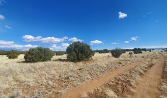 8 County Road 5203, Concho, AZ 85924