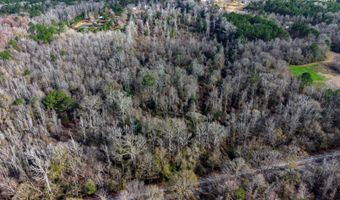 SE River Rd Drive, Bogue Chitto, MS 39629
