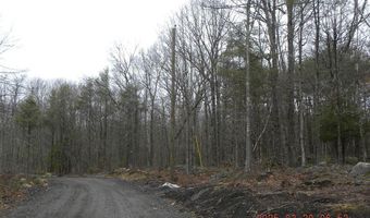 TBD Ole Farnham Road, Alfred, ME 04002