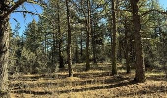 Bunting Drive, Bonanza, OR 97623
