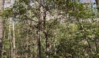 MORRIS CREEK RD lot 2, Andrews, NC 28901