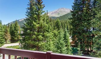 16 Bemrose Trl, Blue River, CO 80424
